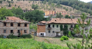 185.jpg