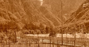 DSC_5330 (Kopiowanie).JPG