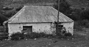DSC_5747 (Kopiowanie).JPG