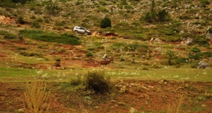 DSC_5738 (Kopiowanie).JPG