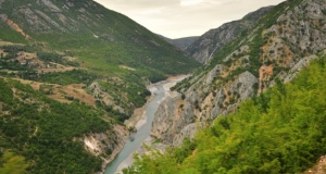 DSC_5628 (Kopiowanie).JPG