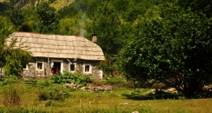 DSC_5556 (Kopiowanie).JPG