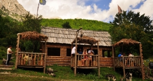 DSC_5598 (Kopiowanie).JPG