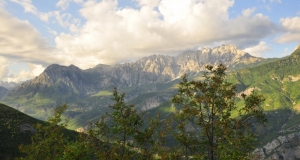 DSC_5478 (Kopiowanie).JPG