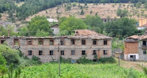 186.jpg
