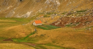 DSC_5253 (Kopiowanie).JPG