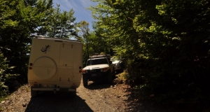 DSC_5304 (Kopiowanie).JPG