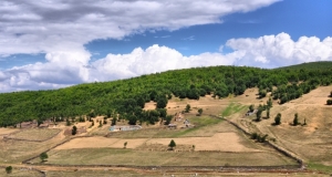 160.jpg