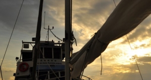 alb11_img736.jpg