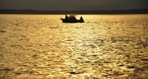 alb11_img738.jpg