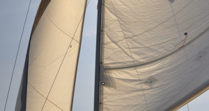 alb11_img745.jpg