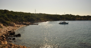 alb11_img752.jpg