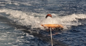 alb11_img797.jpg