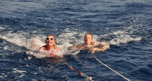 alb11_img795.jpg