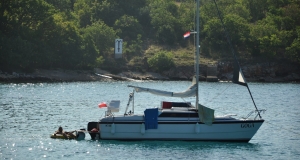 alb11_img753.jpg