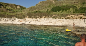 alb11_img807.jpg