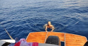 alb11_img743.jpg