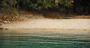 alb11_img778.jpg