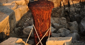 alb11_img823.jpg