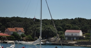 alb11_img786.jpg